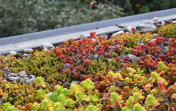 the cost of Thorpe Common green roof installation