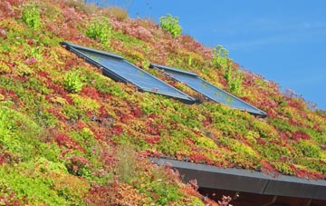 Thorpe Common living roof systems
