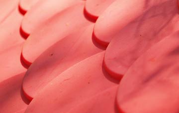 Thorpe Common plastic roof costs