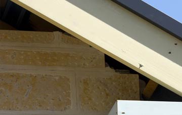 soffit repair Thorpe Common
