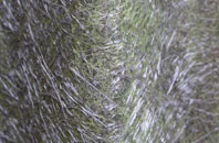 Thorpe Common fibreglass roof work