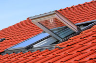 Thorpe Common roof window