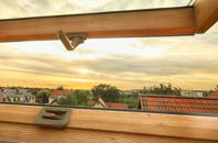 rated Thorpe Common roof window companies