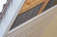 rated Thorpe Common soffit repair companies